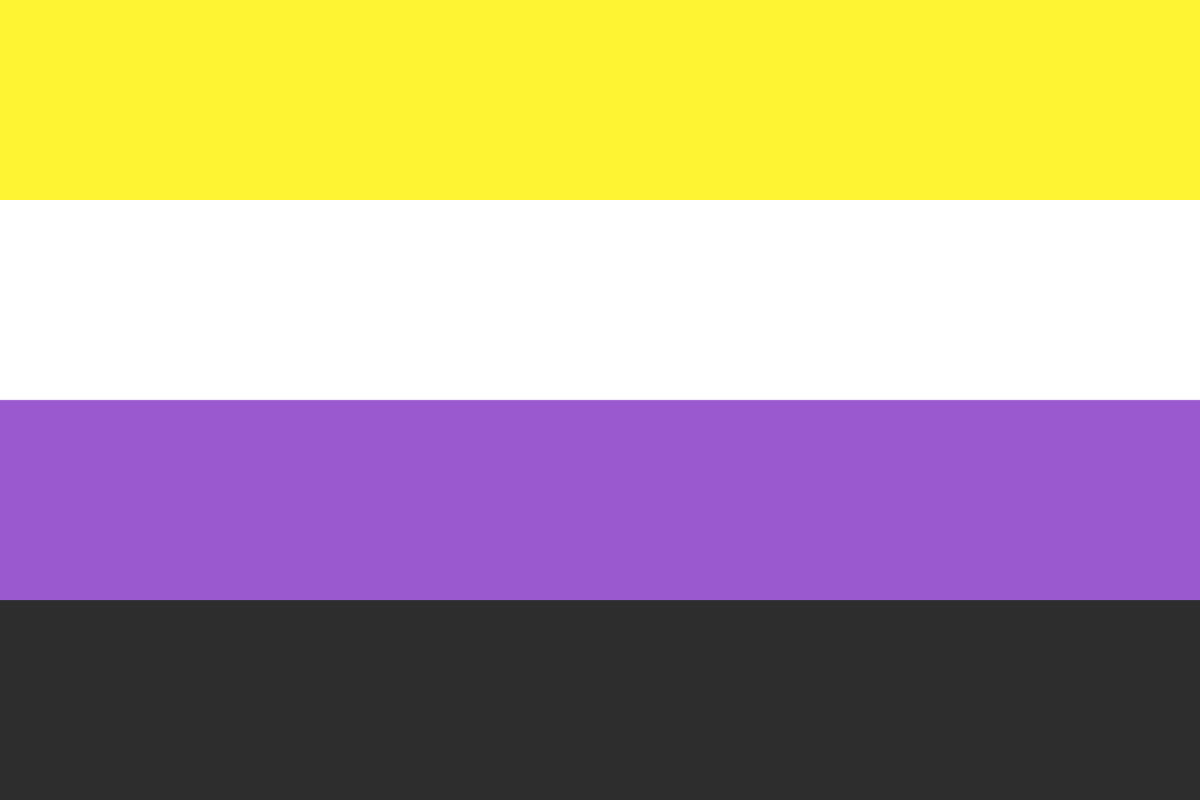 Non binary pride flag